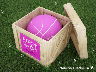 Spring Shot 3d box debut first first shot grass illustration new shot spring thank you wood