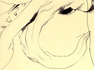 giant squid bestiary drawing giant squid