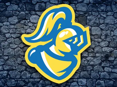 Marist Secondary armor athletics helmet icon knight logo sports