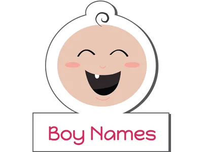 Baby Boy Icon-part of the application baby boy