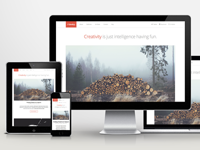 Develop WordPress Theme theme web website wordpress