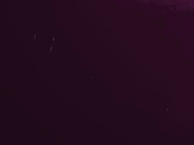 The Noise design film gif lettering noise purple