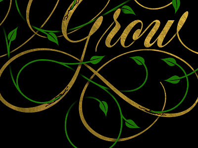 Grow cartouche gold lettering scripts type typography vector