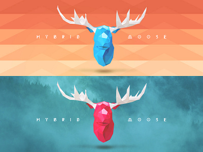 Personal project branding exploration animal blue branding design identity illustration logo low poly lowpoly moose orange pattern