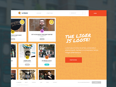 Liger Homepage cards color focus lab hand drawn homepage nav ui web website