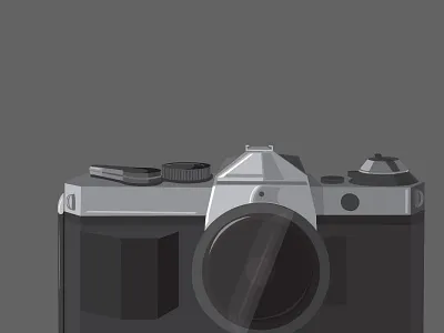 Grayscale Camera Illustration grayscale illustration retro rough wip