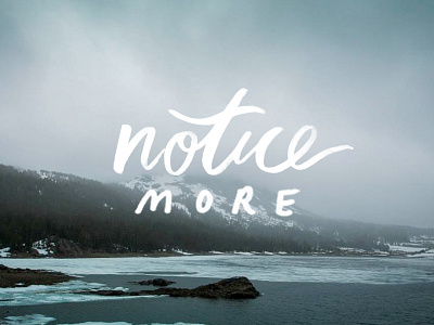 Notice More lettering script