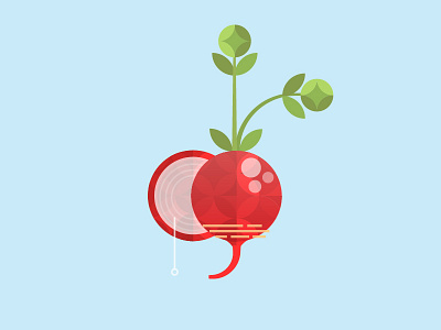 A Humble Radish cook cut growth illustration radish red shape vector vegetable veggie