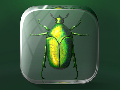 Scarabeus icon bug glass icon insect plastic mold scarabeus