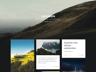 Cynosure Tumblr Theme clean design grid masonry minimal theme tumblr ultralinx web