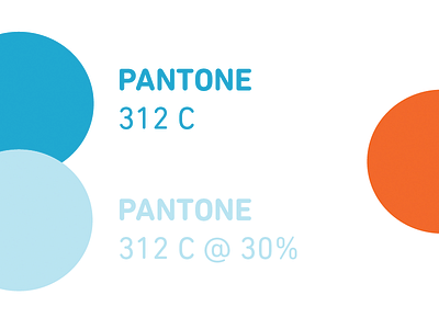 Brand Guide branding colours identity