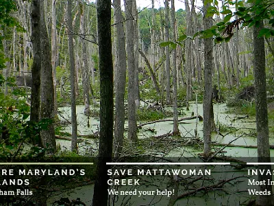 Image Slider design image slider nature pro bono retina slider web design webdesign website wip