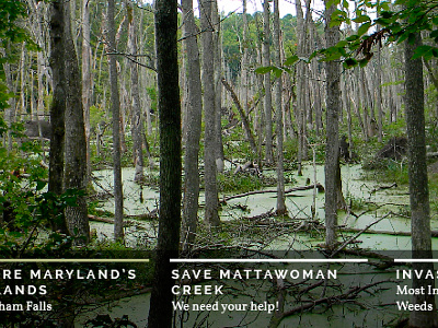 Image Slider design image slider nature pro bono retina slider web design webdesign website wip