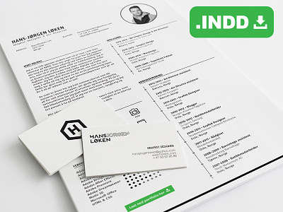 Resume Freebie a4 cv freebie job layout paper print resume