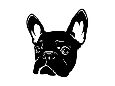 Frenchie bulldog french french bulldog frenchbulldog frenchie