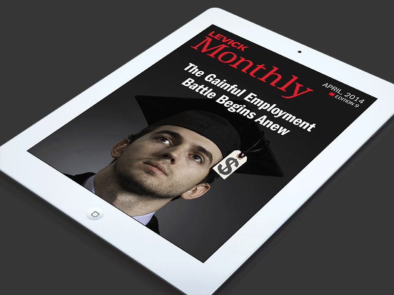 LEVICK Monthly | ePub Layouts