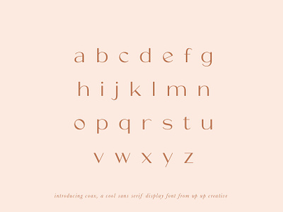 Coax, A Cool Sans Serif Display Font