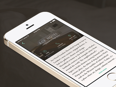 Travel App – Hotel Profile app futura garamond hotel ios ios7 itinerary travel