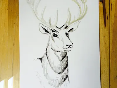 2 proud drawing illustration watercolor