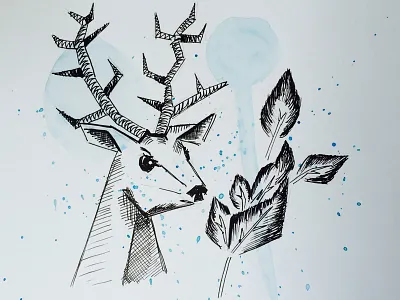 4 transformation drawing illustration watercolor