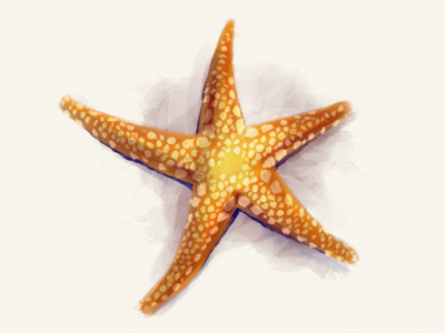 Seastar