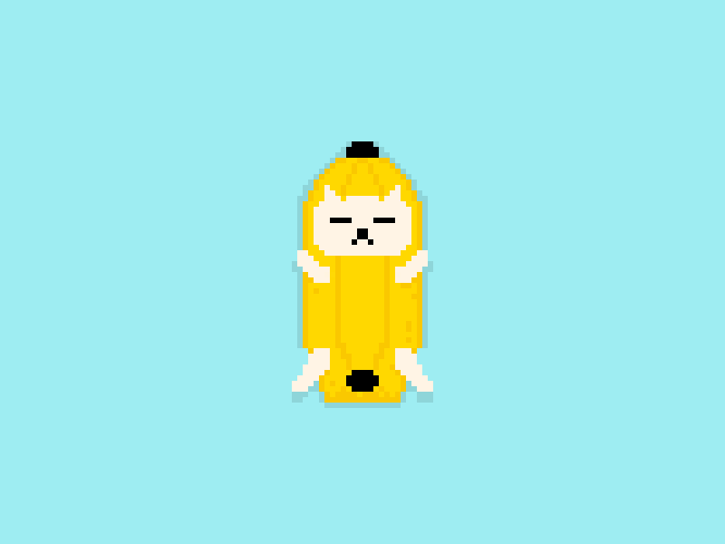 B A N A N A C A T banana cat gif pixel pixel art