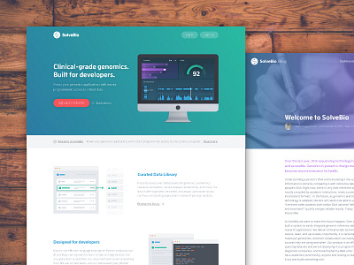 Site design - SolveBio.com splash design flat gradient solvebio.com splash