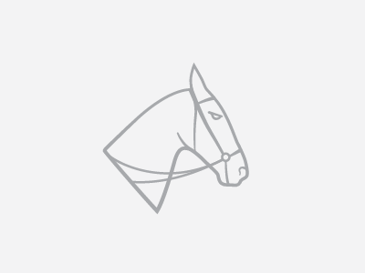 Pony Work animal grey horse line work lines pen tool polo pony