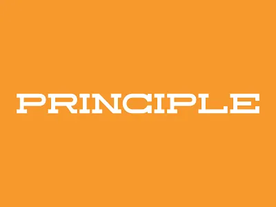 Principle Font branding custom font logo mark strong transport transportation