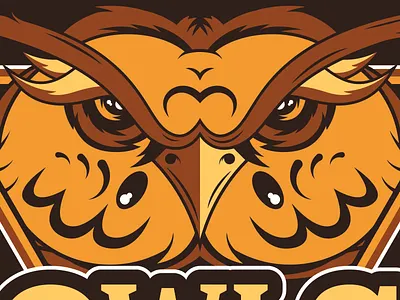 Owls hyrule kaepora gaebora nintendo nitendo owls team zelda