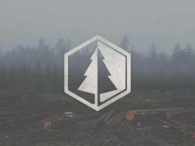 Pine Tree Icon forrest grunge icon logo pine tree