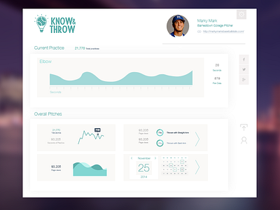 Know N Throw app baseball calendar charts graphs interface metrics minimal pitching sports stats ui