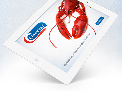 Clearwater Digital Product Catalog app catalog digital publishing ipad ui ux
