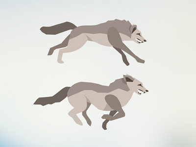 Wolf in Motion animal attack charge grey illustration motion movement running wolf