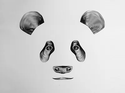 Panda illustration panda