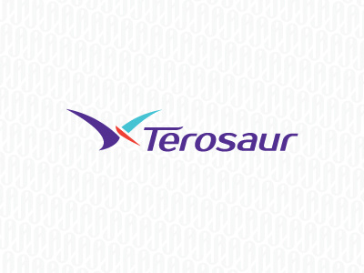 Terosaur dinosoar flight logo wings