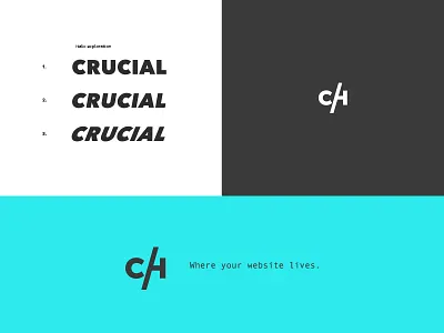 Crucial Hosting blue branding c crucial focus lab hosting tech technology web