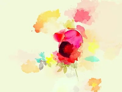 flower flower illustration ilustracion watercolor