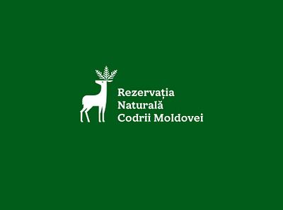 National Park Deer Logo deer elk environment forest forestry grass green illustration logo moldova national park natural nature organic pine tree planet reserve save the planet tree trees