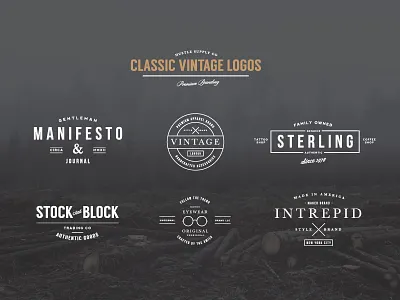 Classic Vintage Logo Kit badge branding bundle icon logo minimalist retro type typography vintage