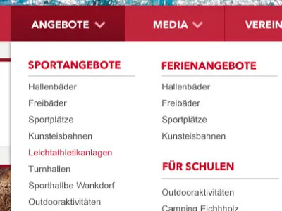 Style the megadropdown megadropdown