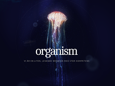 personal project design homepage jelllyfish sea splash typography water web website