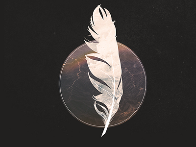 Paloma Paloma | Everything Breaks album album cover cover art ep feather illustrator paloma photoshop