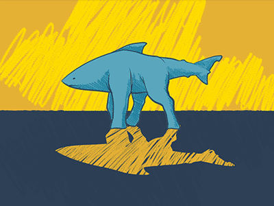 Shark Outta Water — Unwork Experiment animation photoshop sharks outta water unwork unwork experiment