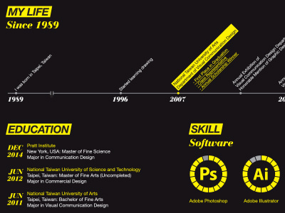 My Resume information resume skill timeline