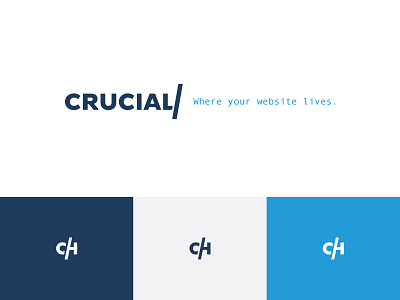 A Veteran in Web Hosting brand strategy focus lab hosting performance personability professionalism tagline tech trustworthy web hosting wordsmithing writing