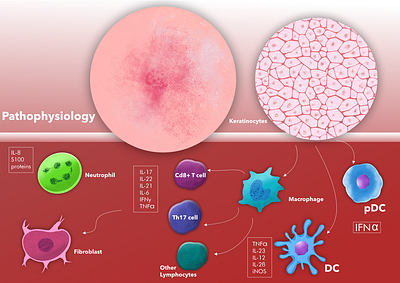 Scientific Illustrations : January 2025 biorender data datavisualisation illustration sciencecommunication scientificillustration