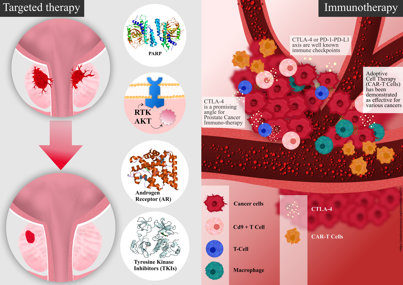 Example of Graphic Abstract For Research Article