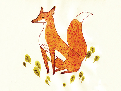 Noble Fox fox illustration ink watercolour