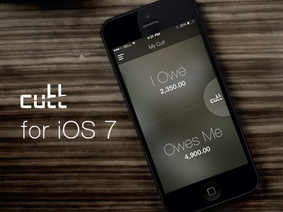 Cutt - Dashboard concept cutt dashboard expense ios ios 7 iphone
